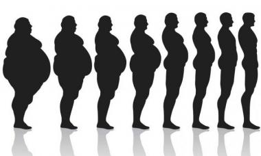 Основы правильного питания для похудения: меню, рекомендации диетолога и отзывы Сколько длится диета при правильном питании